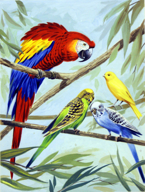 Feathered Pets (Original)