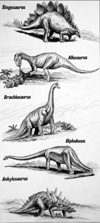 Study of Five Dinosaurs (Original)