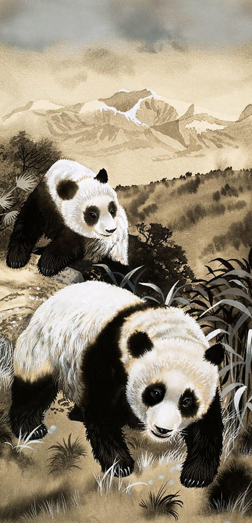 Giant Panda (Original)