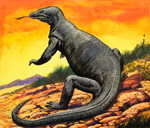 Komodo Dragon (Original)
