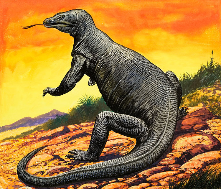 Komodo Dragon (Original)