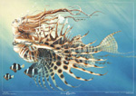 Fishgirl