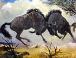 Horns of Fury (Original)