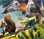 The Owl and the Squirrel (Original)