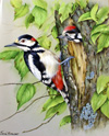 Jane Brewer