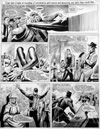 The Spider 17 (Original)