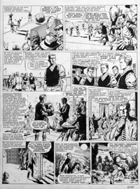 Josep Marti i Capell biography