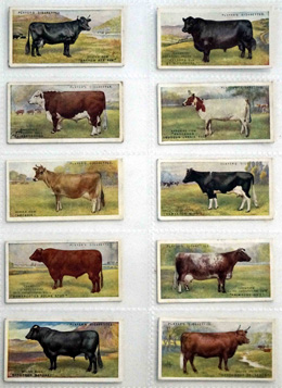 Full Set of 25 Cigarette Cards: British Livestock (1915)