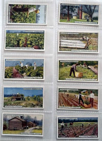 Full Set of 25 Cigarette Cards: From Plantation to Smoker (1926)