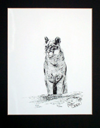 Richard Corben biography