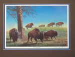 Where the Buffalo Roam (Limited Edition Print) (Signed)