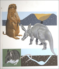 A is for Aardvark (Original)