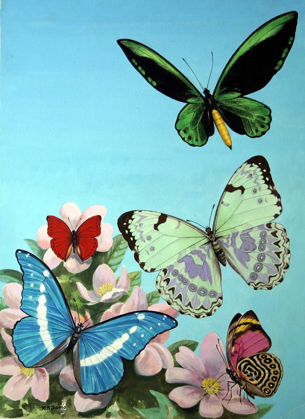 Butterflies - High-Flying Beauties (Original) (Signed) by Reginald B Davis at The Illustration Art Gallery