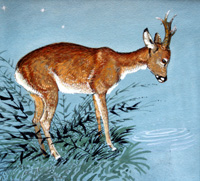 Fallow Deer (Original)