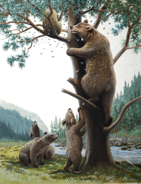Grizzly Bear Family (Original) (Signed) by Reginald B Davis at The Illustration Art Gallery