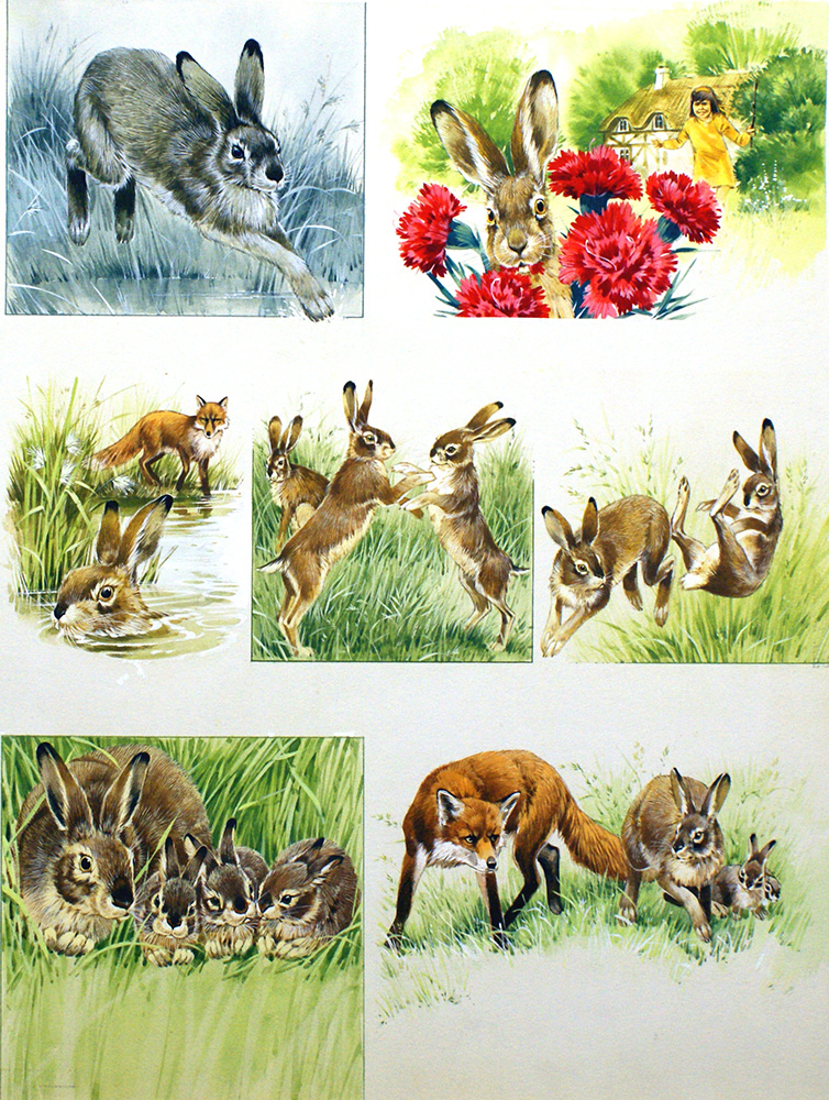 The March Hare (Original) art by Reginald B Davis at The Illustration Art Gallery