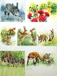 The March Hare (Original)