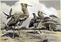 The Winged Hunter Takes a Ride (Original)