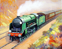 Southern Region Steam Engine no.862 (Original)