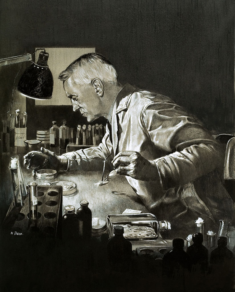 Alexander Fleming Discovers Penicillin (Original) (Signed) art by Neville Dear at The Illustration Art Gallery