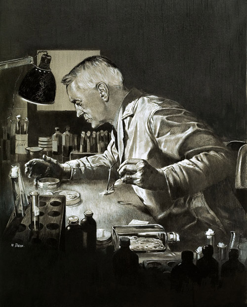 Alexander Fleming Discovers Penicillin (Original) (Signed) by Neville Dear at The Illustration Art Gallery