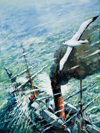 Shackleton in the Antarctic (Original) (Signed)