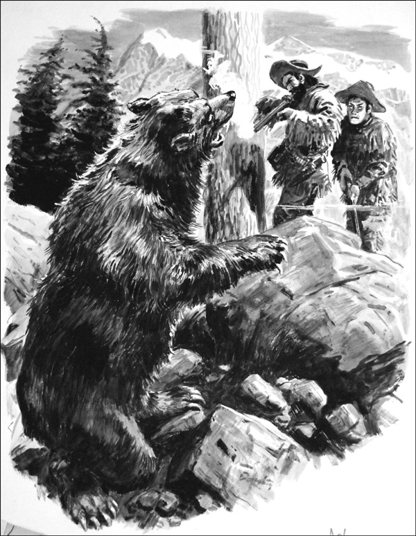 Grizzly Bear (Original) (Signed) by Cecil Doughty at The Illustration Art Gallery