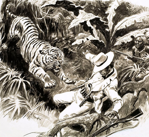 Tiger Attacking Hunter (Original) (Signed) by Cecil Doughty at The Illustration Art Gallery