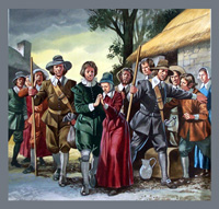 The Pilgrims (Original)