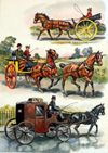 Horses' Heyday 3 (Original)