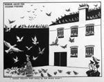Pigeon Woman of Alcatraz (Original) (Signed)