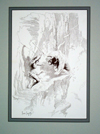 Edgar Rice Burroughs 21 Tarzan Waited (Limited Edition Print)