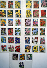 Complete Set of 40 'Garden Flowers' Wills Cigarette Cards (1939)