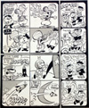 Swami Riva from TV Tornado (Original) (Signed)