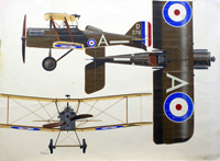 S.E.5a of the Royal Air Force (Original) (Signed)