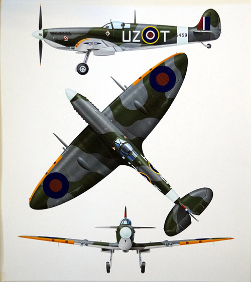 RAF Spitfire (Original) (Signed) by Hasegawa at The Illustration Art Gallery