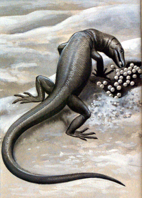 Monitor Lizard (Original) by Helen Haywood at The Illustration Art Gallery