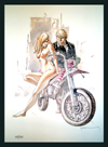 Hog (Limited Edition Print) (Signed)