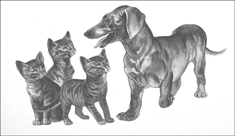 Guard Dog for Kittens (Original) by Bob Hersey Art at The Illustration Art Gallery