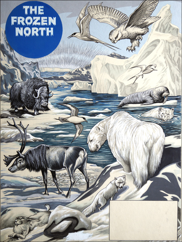 The Frozen North (Original) by Richard Hook Art at The Illustration Art Gallery