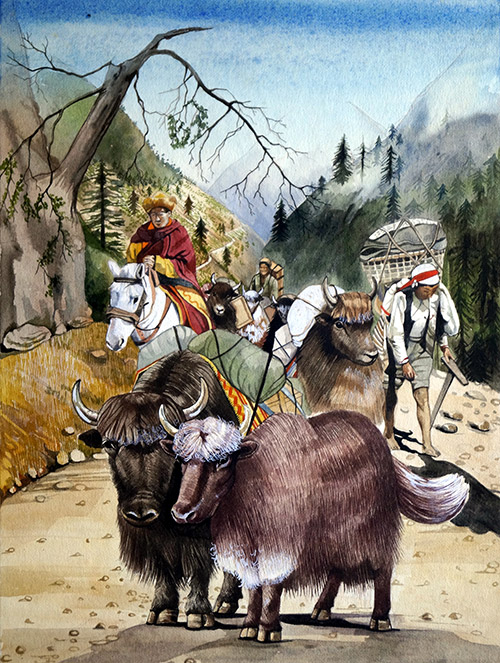 Yaks (Original) by Richard Hook at The Illustration Art Gallery