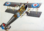 Avro 504 World War One Biplane (Original)