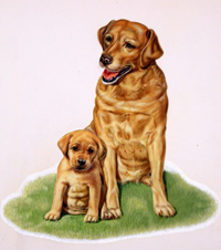 Labrador and Puppy (Original)