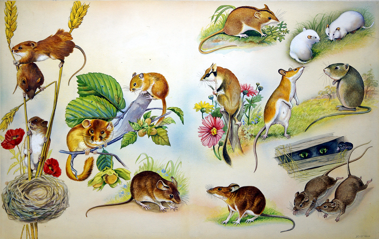 All Sorts of Mice (Original) (Signed) art by Bert Illoss Art at The Illustration Art Gallery