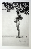Descent (Print) (Signed)