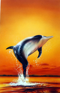 Dolphin Sunrise book cover art (Original)