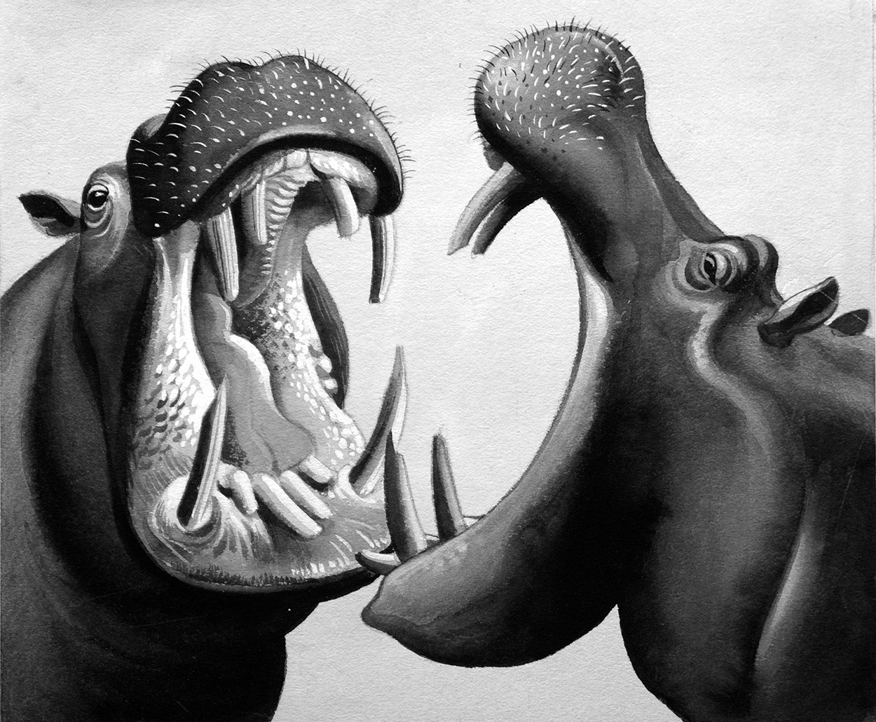 Hippo Fight (Original) art by John Keay Art at The Illustration Art Gallery