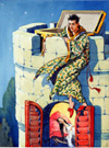 The Flying Trunk Princess' Window (Original)