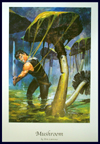 Don Lawrence Biography