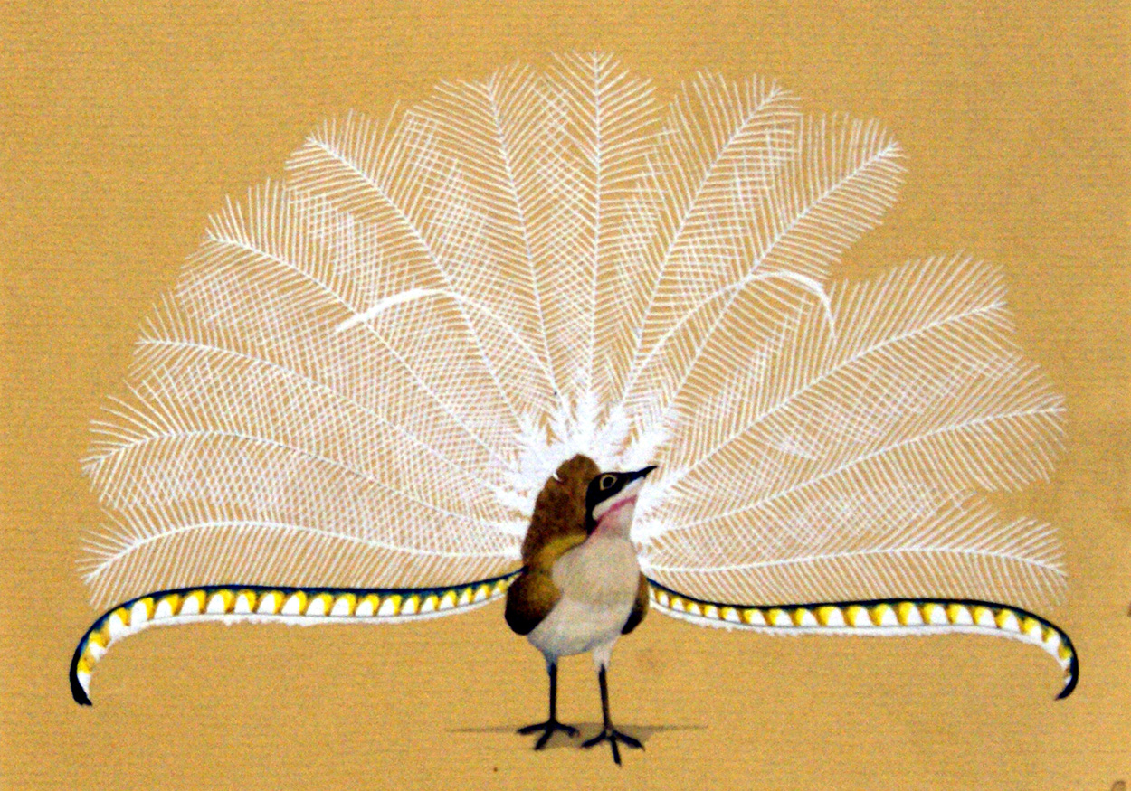 Lyre Bird (Original) art by Kenneth Lilly Art at The Illustration Art Gallery